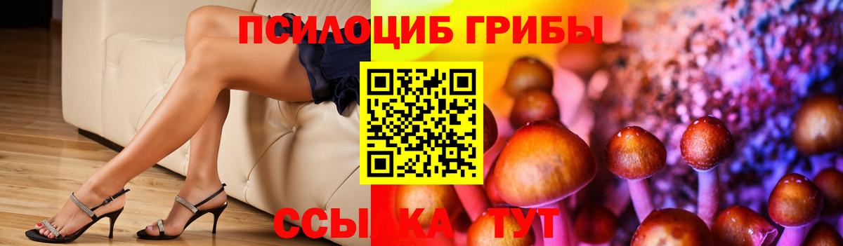 Лабинск  Псилоцибиновые грибы ЛСД  где купить наркоту  Вход с VPN  Галлюциногенные грибы MAGIC MUSHROOMS 